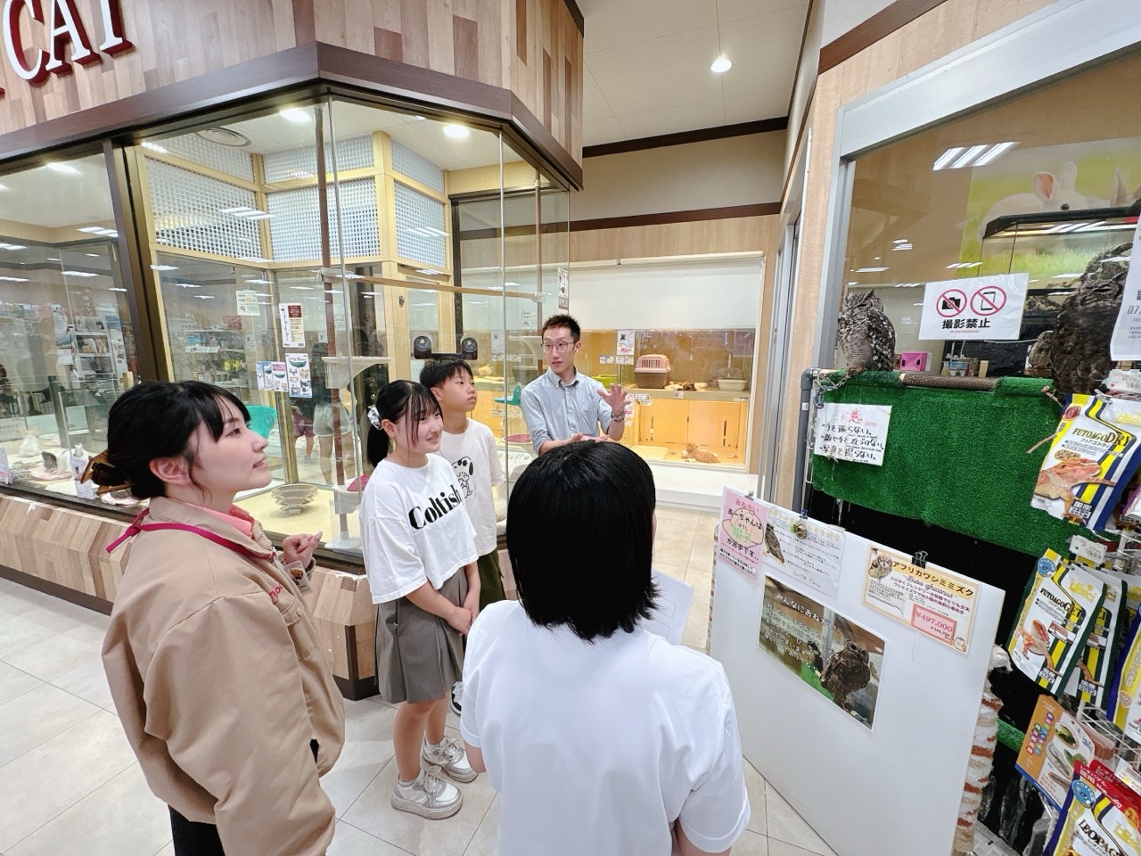 取材に行ったこの日は、フクロウさんもいました🦉