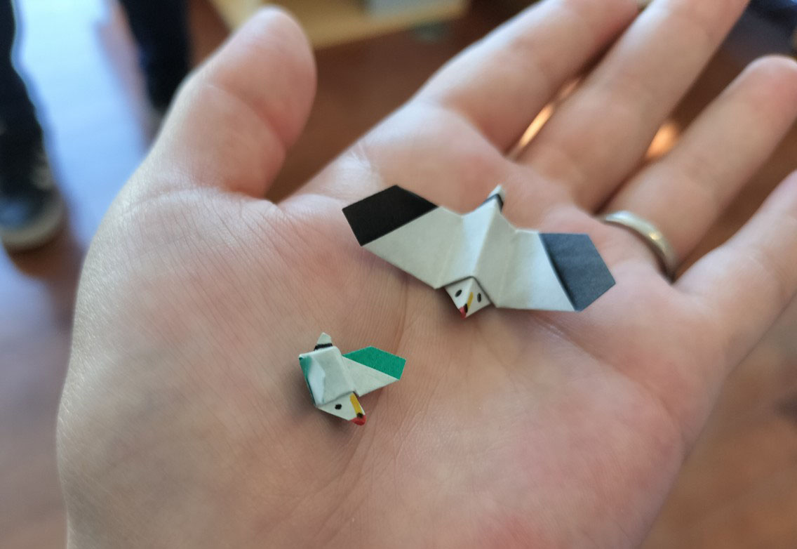 秘伝ウミネコの折り紙！🐤
