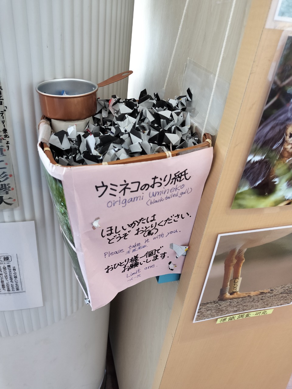 ウミネコの折り紙がどっさり