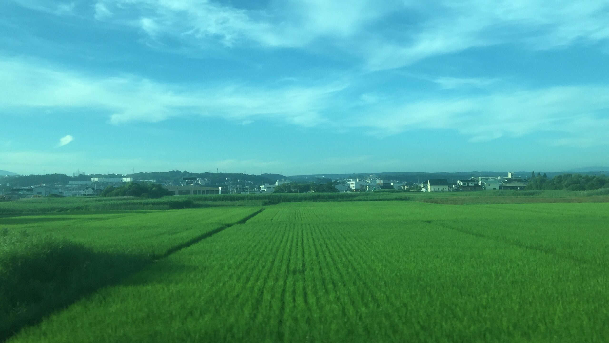 ※2025年8月ごろ撮影